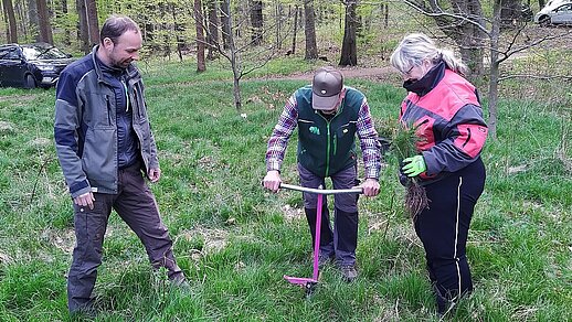 Gewerkschaftswald 2026 Pflanzaktion SBB Gewerkschaftswald 2026 Moritzburg